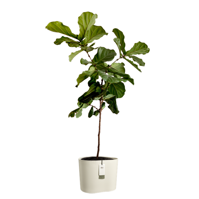 eden aquacare low 40cm linen white